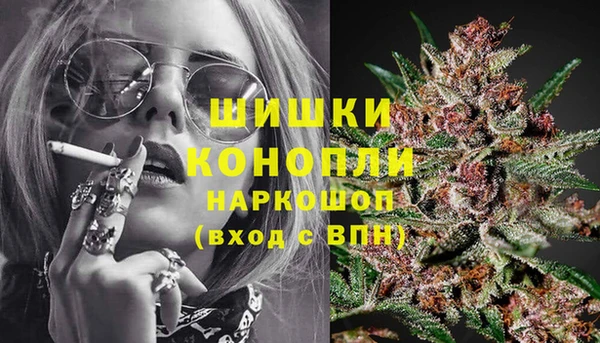 амф Володарск