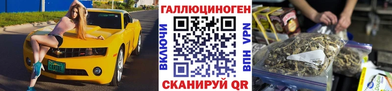 Псилоцибиновые грибы Psilocybine cubensis блэк спрут как войти Кочубеевское дарнет шоп